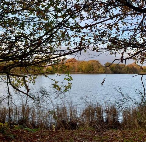 Hendre Lake